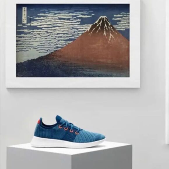 Limited Edition Allbirds The MET Hokusai Red Fuji Tree Runners Women’s Sz 10 - Picture 1 of 6